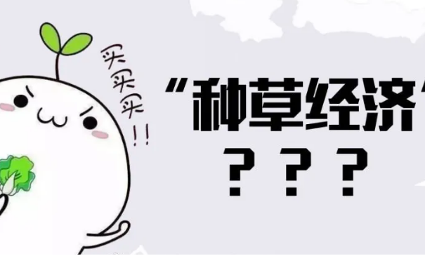短视频种草(cǎo) 短视频种草(cǎo)