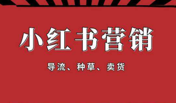 新(xīn)品牌小(xiǎo)红书种草(cǎo) 新(xīn)品牌小(xiǎo)红书种草(cǎo)